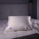 Magnifica kussen 60x70