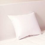 hoofdkussen 15% ganzendons