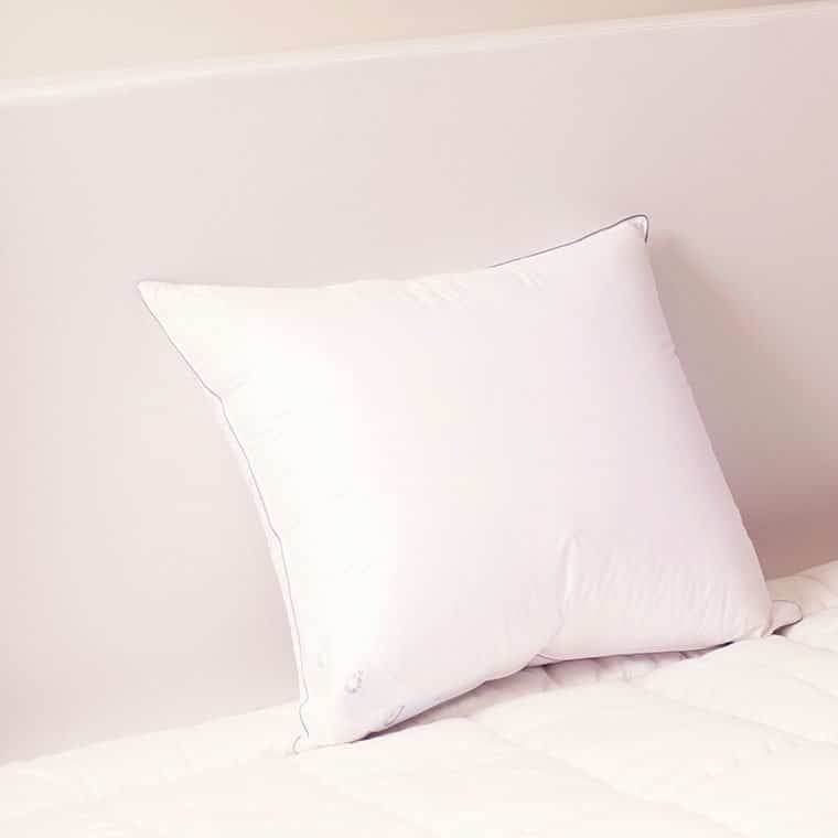 hoofdkussen 15% ganzendons