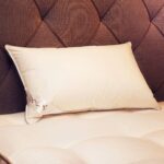 hoofdkussen 70% ganzendons