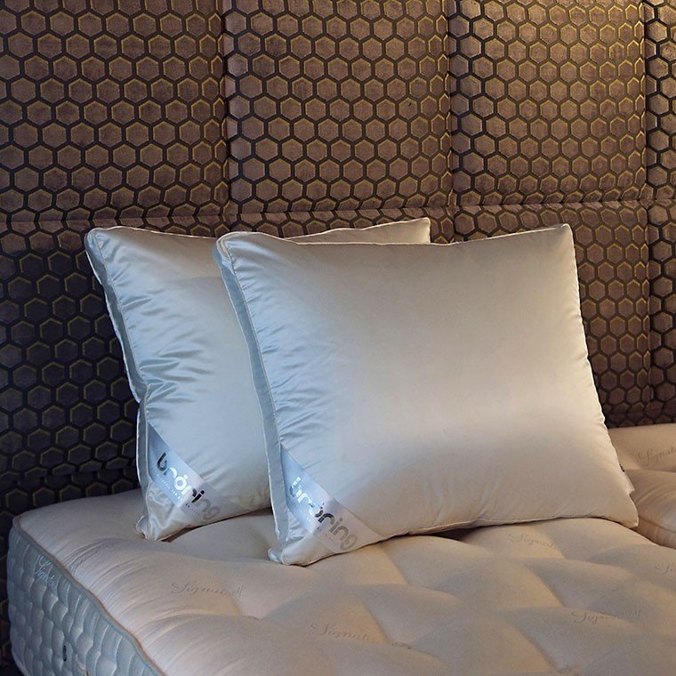 magnifica kussen allura ganzendons