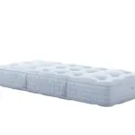 Schramm Divina matras